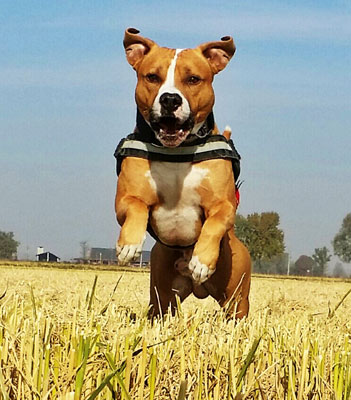 KUBA