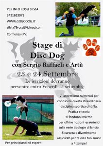 STAGE DISC DOG