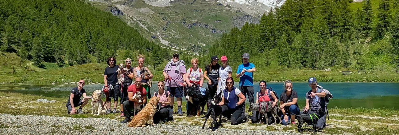 Vacanza cinofila in montagna: un successo!